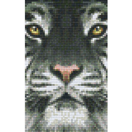 Pixel Hobby Pixelhobby 2 Grundplatten Tiger