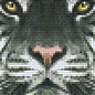 Pixel Hobby Pixelhobby 2 Grundplatten Tiger