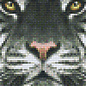 Pixel Hobby Pixelhobby 2 plaques de base Tiger