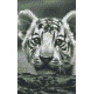 Pixel Hobby Pixelhobby 2 Basisplaten  Tijgerwelp