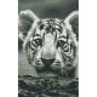 Pixel Hobby Pixel hobby 2 Plaques de base Tigre Cub