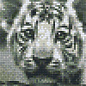 Pixel Hobby Pixel Hobby 2 Grundplatten Tigerjunges
