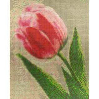 Pixel Hobby pixelhobby 4 plaques de base - Rose