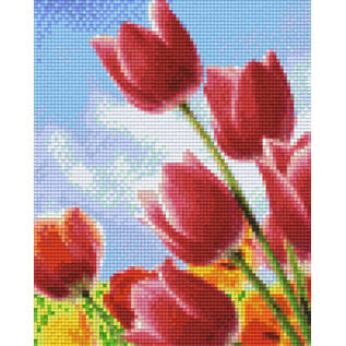 Pixel Hobby Pixel Hobby 4 Grundplatten - Tulpen