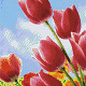 Pixel Hobby plaque de base 4 hobby pixel - Tulipes