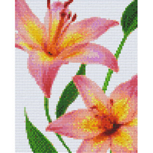 Pixel Hobby pixelhobby 4 Basisplaten - Bloemen 04