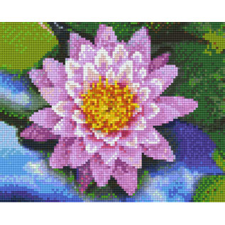 Pixel Hobby pixelhobby 4 Basisplaten - Bloemen 05