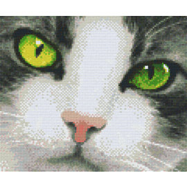 Pixel Hobby Pixelhobby 6 Plaques de base - Chat