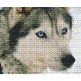 Pixel hobby 6 Plaques de base - Wolf 02