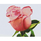 Pixel Hobby Pixelhobby 9 Basisplaten Bloem