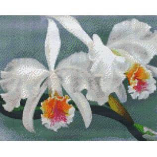 Pixel Hobby Assiettes Pixel hobby 9 Orchid