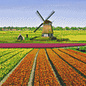 Pixel Hobby Pixelhobby 9 Basisplaten Tulpen-veld-molen