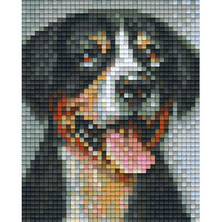 Pixel Hobby Pixel Hobby 1 Grundplatte Schweizer Sennenhund