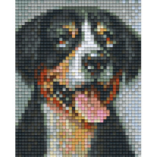 Pixel Hobby Pixelhobby 1 Basisplaat Zwitserse-Sennenhond