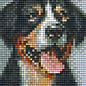 Pixel Hobby Pixel hobby 1 Plaque de base Swiss Mountain Dog