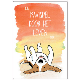 Creatief Art Spreukenbordje: Kwispel door het leven! | Houten Tekstbord