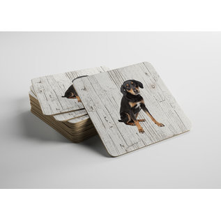 Creatief Art Hond Appenzeller Sennerhond | Houten Onderzetters 6 Stuks