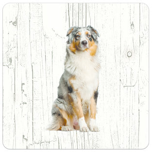 Creatief Art Hond Australian Shepherd Dog | Houten Onderzetters 6 Stuks