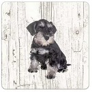 Creatief Art Hond Dwergschnauzer | Houten Onderzetters 6 Stuks