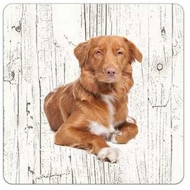 Creatief Art Hond Nova Scotia Duck Tolling Retriever | Houten Onderzetters 6 Stuks