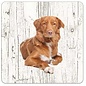 Creatief Art Hond Nova Scotia Duck Tolling Retriever | Houten Onderzetters 6 Stuks