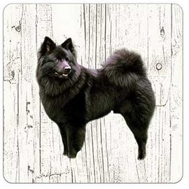 Creatief Art Hond Keeshond | Houten Onderzetters 6 Stuks