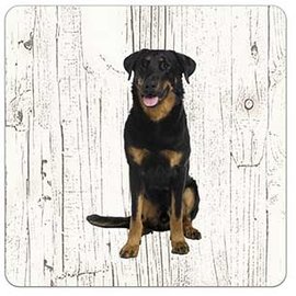 Creatief Art Hond Beauceron | Houten Onderzetters 6 Stuks