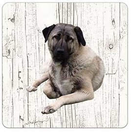 Creatief Art Hond Kangal | Houten Onderzetters 6 Stuks