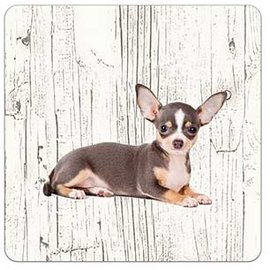 Creatief Art Hond Chihuahua | Houten Onderzetters 6 Stuks