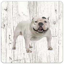 Creatief Art Hond Amerikaanse Bully | Houten Onderzetters 6 Stuks