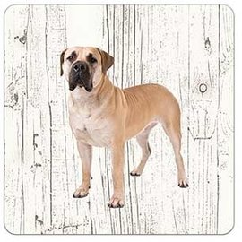 Creatief Art Hond Boerboel | Houten Onderzetters 6 Stuks