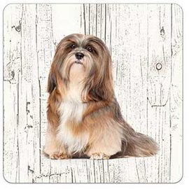 Creatief Art Hond Lhasa Apso | Houten Onderzetters 6 Stuks