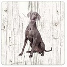 Creatief Art Hond Weimaraner | Houten Onderzetters 6 Stuks