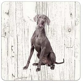 Creatief Art Hond Weimaraner | Houten Onderzetters 6 Stuks