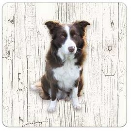 Creatief Art Hond Bordercollie | Houten Onderzetters 6 Stuks