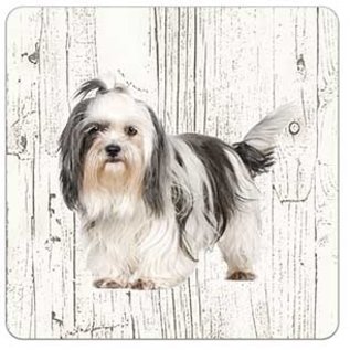 Creatief Art Hond Shih Tzu | Houten Onderzetters 6 Stuks