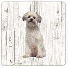 Creatief Art Hond Leeuwhondje | Houten Onderzetters 6 Stuks