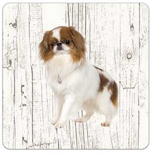 Creatief Art Hond Japanse Spaniel | Houten Onderzetters 6 Stuks