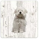 Creatief Art Hond Corton De Tuléar | Houten Onderzetters 6 Stuks