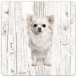 Creatief Art Hond Chihuahua Langhaar Wit | Houten Onderzetters 6 Stuks