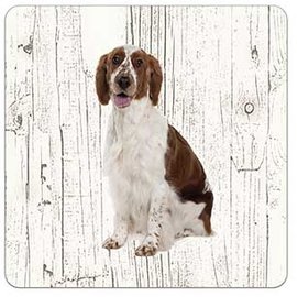 Creatief Art Hond Welsh Springer Spaniel | Houten Onderzetters 6 Stuks