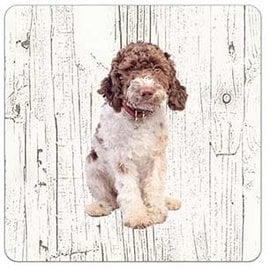 Creatief Art Hond Lagotto Romagnolo | Houten Onderzetters 6 Stuks