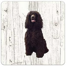 Creatief Art Hond Ierse Water Spaniel | Houten Onderzetters 6 Stuks