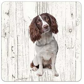 Creatief Art Hond Engelse Springer Spaniel | Houten Onderzetters 6 Stuks