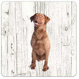 Creatief Art Hond Chesapeake Bay Retriever | Houten Onderzetters 6 Stuks