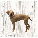 Creatief Art Hond Vizsla Draadhaar | Houten Onderzetters 6 Stuks