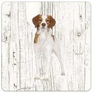 Creatief Art Hond Epagneul Breton | Houten Onderzetters 6 Stuks