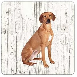 Creatief Art Hond Rhodesian Ridgeback | Houten Onderzetters 6 Stuks