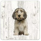 Creatief Art Hond Petit Basset Griffon Vendéen | Houten Onderzetters 6 Stuks