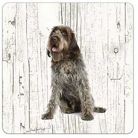 Creatief Art Hond Korthals Griffon | Houten Onderzetters 6 Stuks